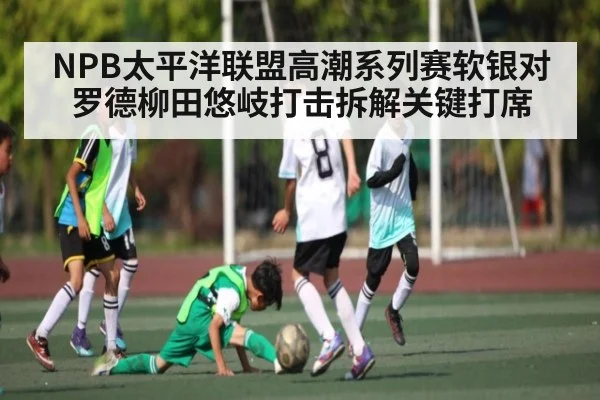 NPB太平洋联盟高潮系列赛软银对罗德柳田悠岐打击拆解关键打席