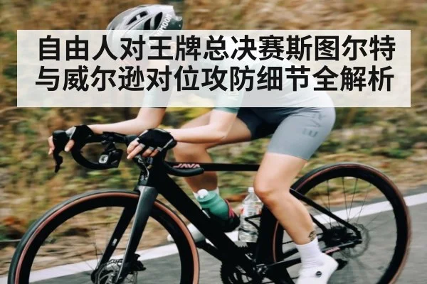 自由人对王牌总决赛斯图尔特与威尔逊对位攻防细节全解析